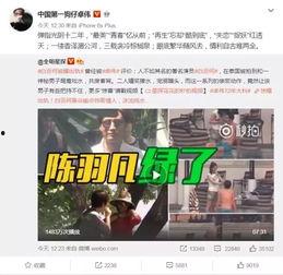 沈毅微博爆料视频大全最新,揭秘娱乐圈幕后真相